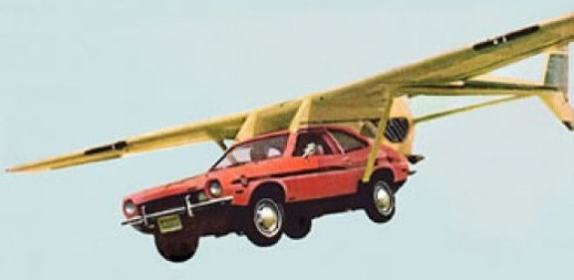 cropped-flying-pinto1.jpg